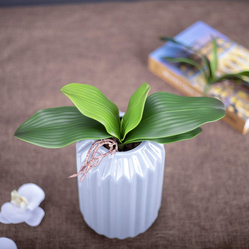 Fnize Faux Orchid Leaves Artificial Phalaenopsis Leaf Bulk 10 Inches 2pcs Real Touch Latex Cymbidium Stems Green Plant - Image 5